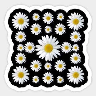 daisies flower blossom bloom blooming daisy petals Sticker